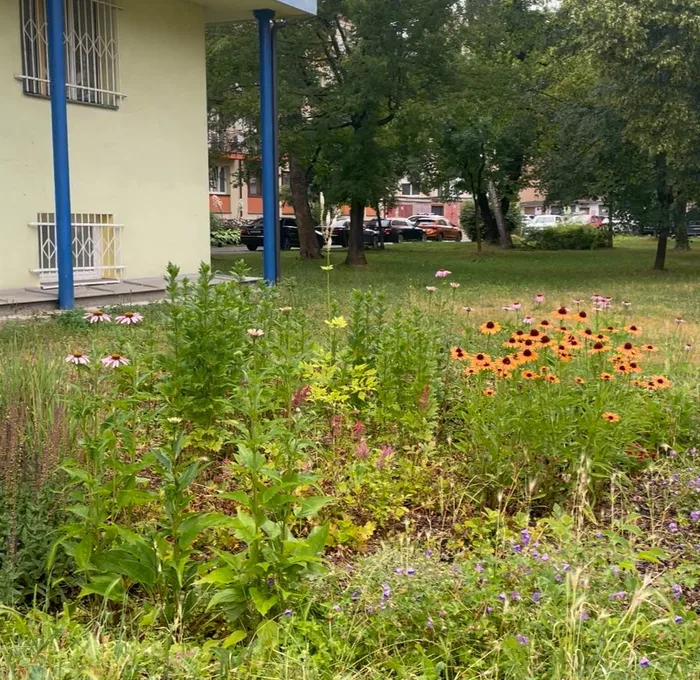 Bohatý kvitnúci záhon na rovnakom mieste