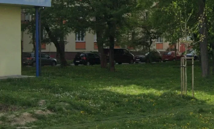 Prázdny trávnik s mladým stromom pred výsadbou